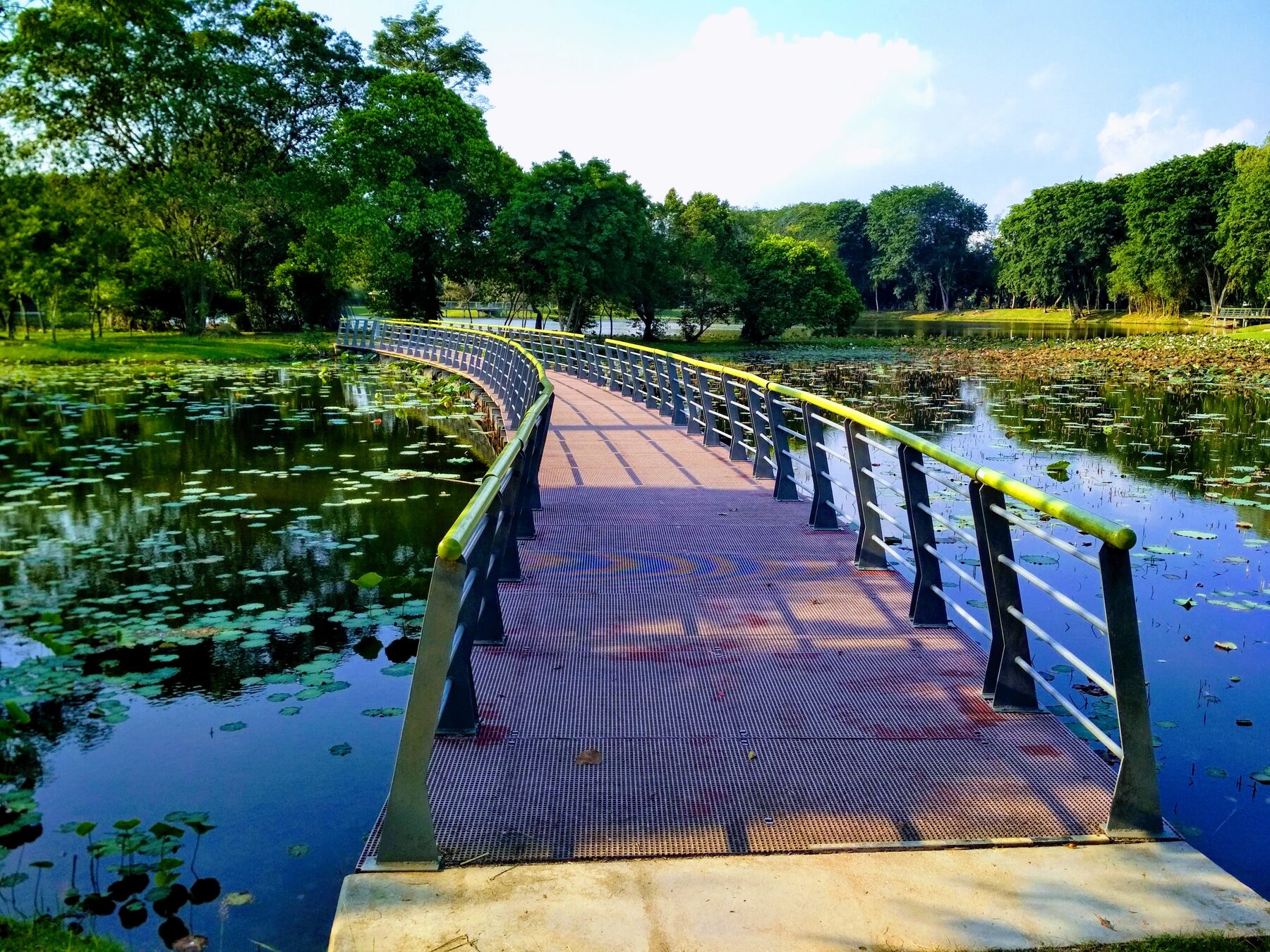 Landscape at Cyberjaya Lake Gardens